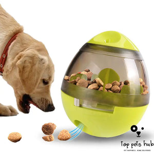 Interactive Pet Food Dispenser