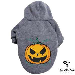 Halloween Pumpkin Pet Sweater