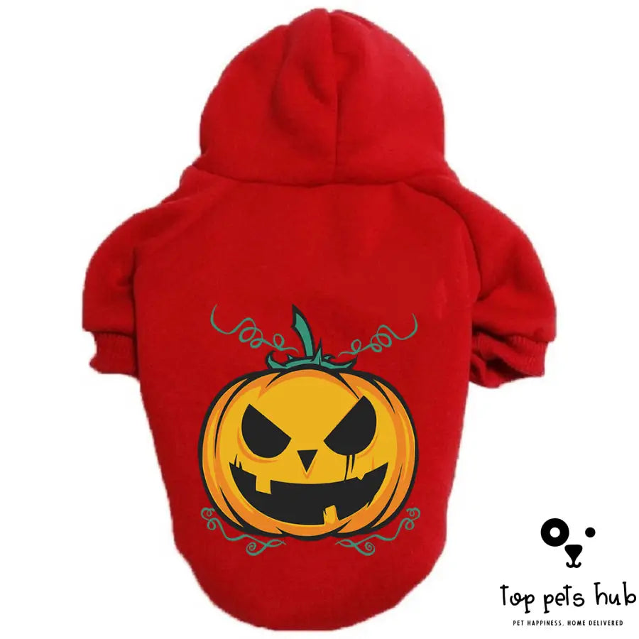 Halloween Pumpkin Pet Sweater