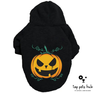 Halloween Pumpkin Pet Sweater