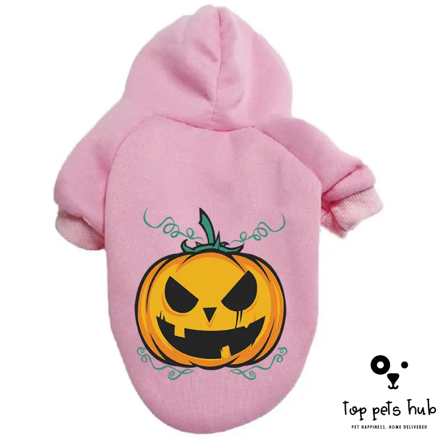 Halloween Pumpkin Pet Sweater