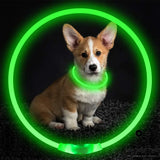 Glowing Safety Collar