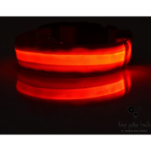 GlowGuard Nylon LED Pet Collar - Night Safety Flashing for