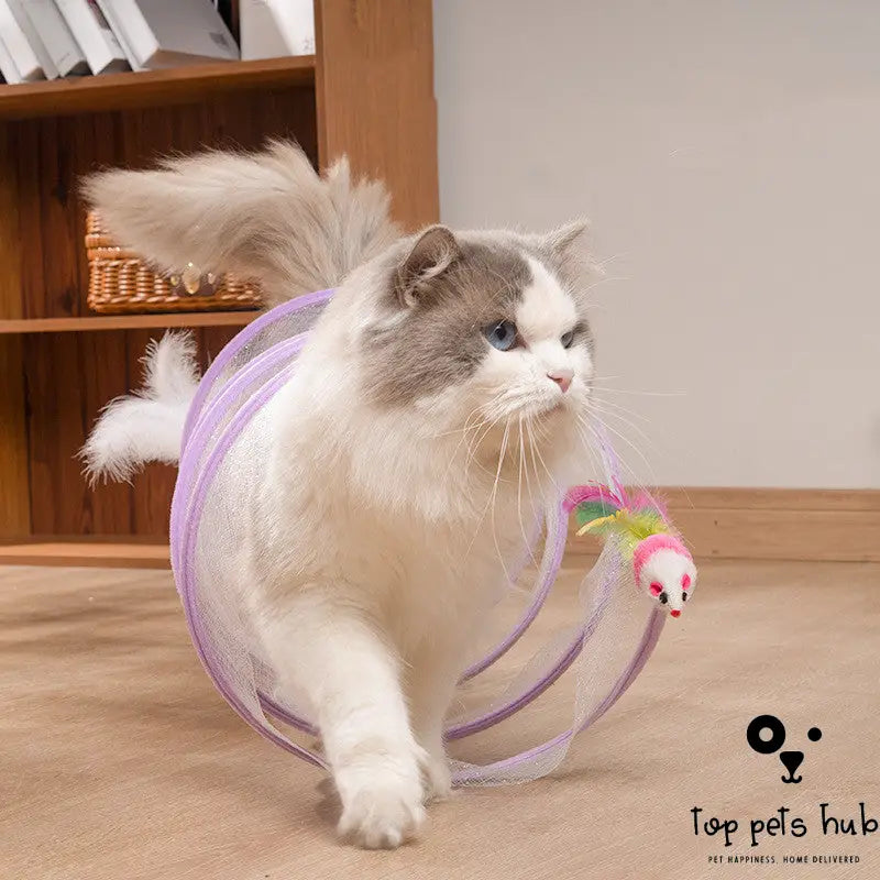 Foldable Storage Cat Tunnel Toy