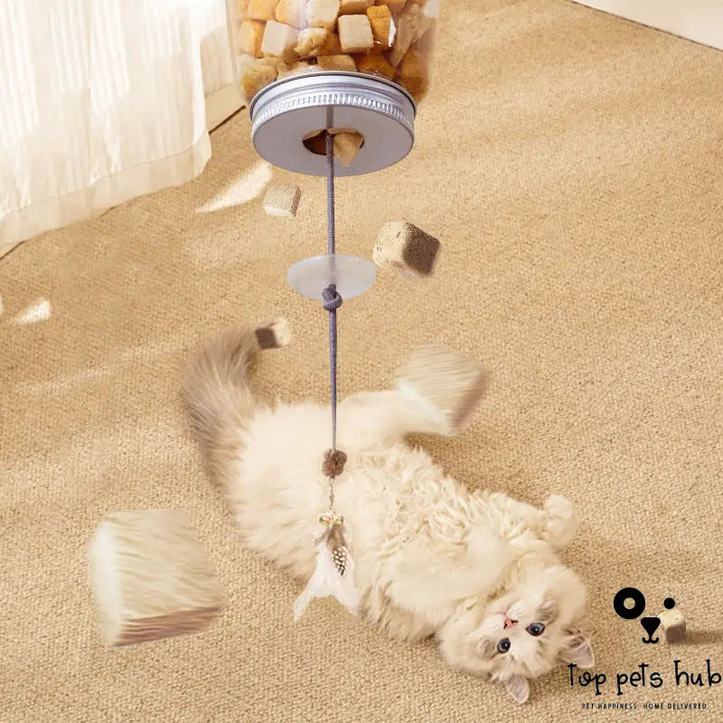 Cat Self-Hi Food Feeder