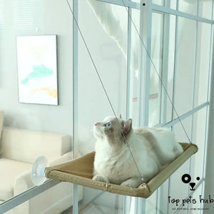 Swing Suction Cat Bed