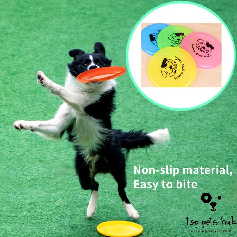 Dog Frisbee Toy