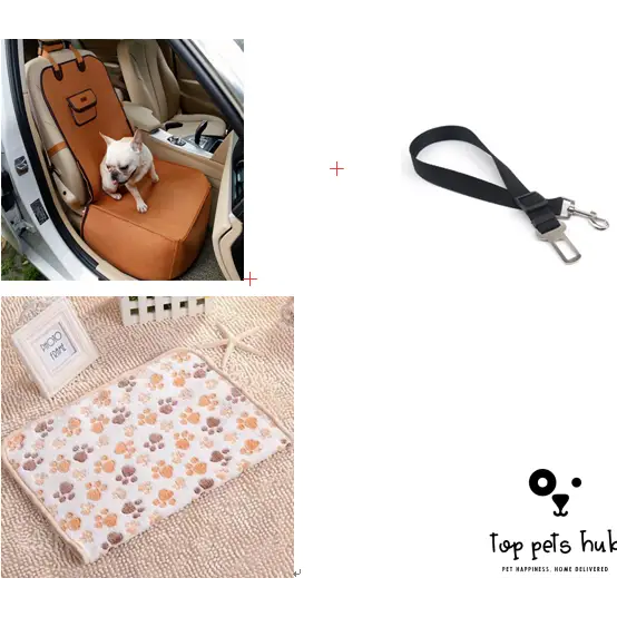 Retro Pet Car Mat