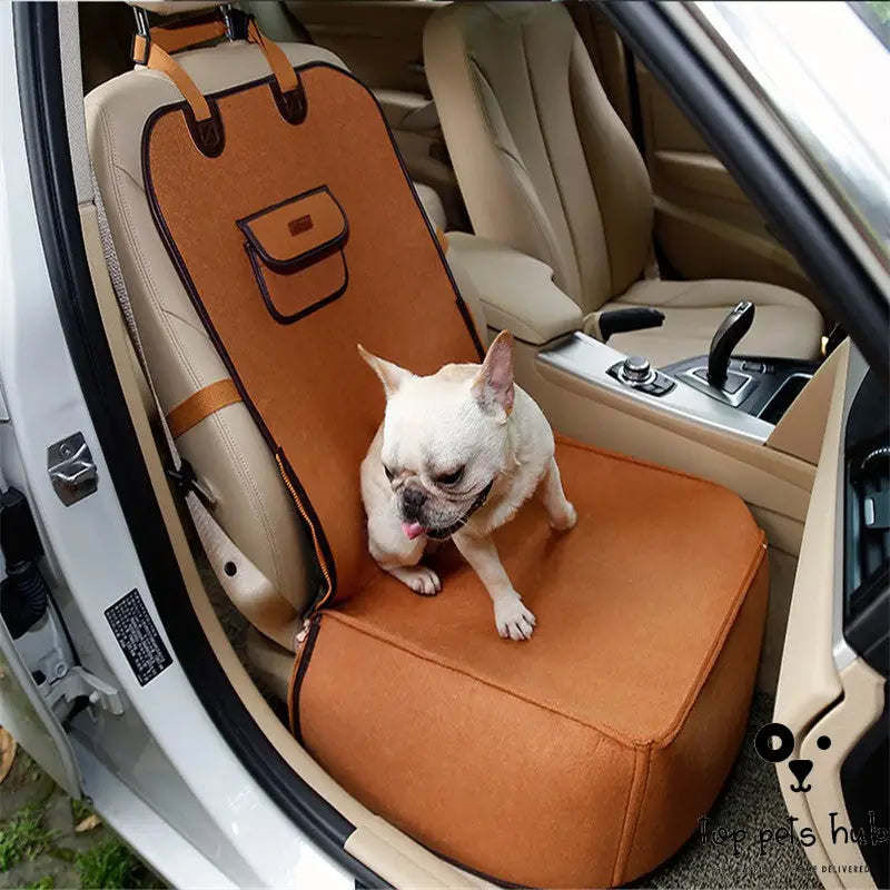 Retro Pet Car Mat