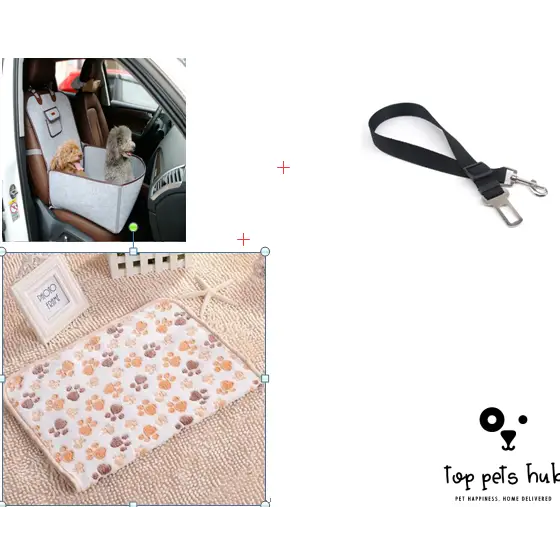 Retro Pet Car Mat