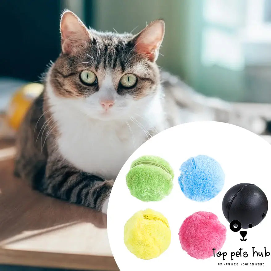 WobbleBall Magic Interactive Rolling Toy for Pets