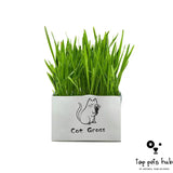 Organic Soilless Cat Grass