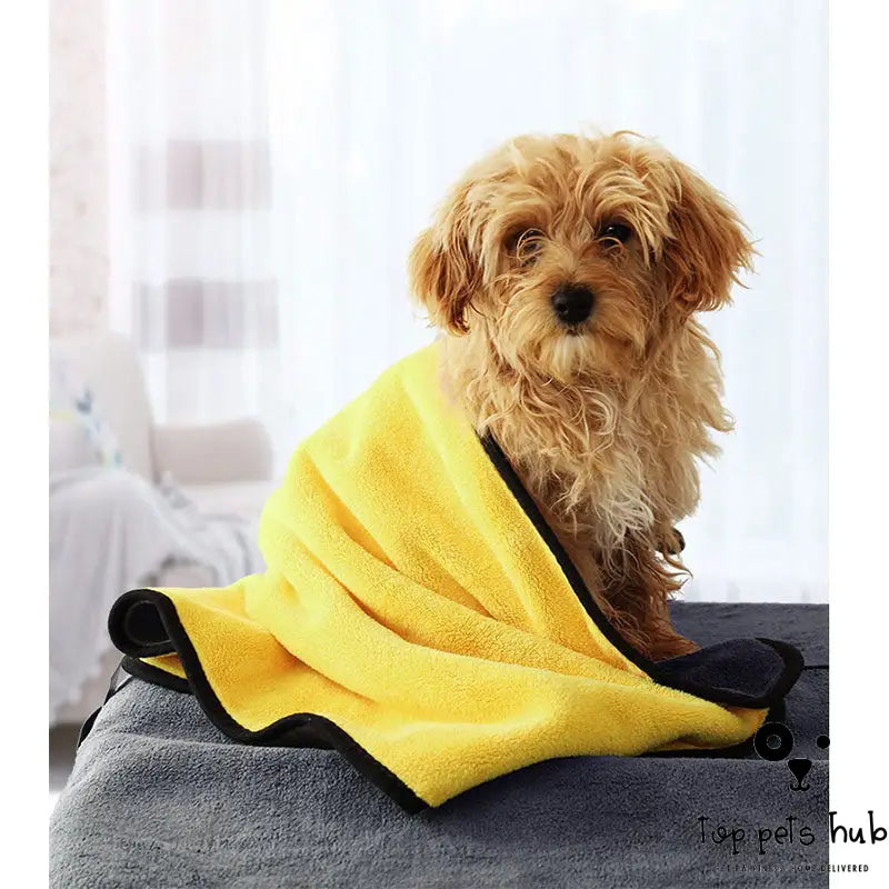 Absorbent Pet Towel