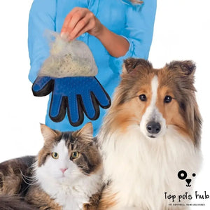 GroomingPurr Cat Grooming Glove