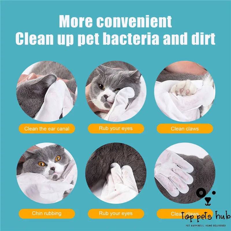 Cat Grooming Gloves