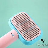 Massage Hair Brush