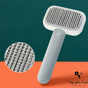 Massage Hair Brush