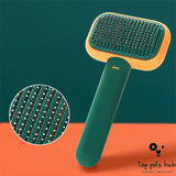 Massage Hair Brush