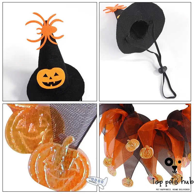 Witch Hat Pet Collar