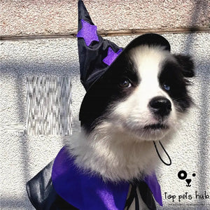 Halloween Wizard Dressup Set for Pets