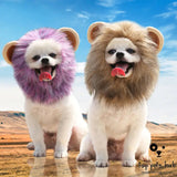 Lion to Ghost Halloween Pet Costume