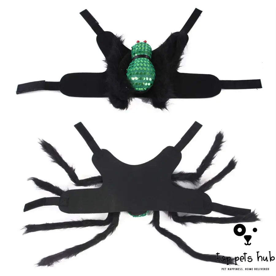 Sequined Spider Pet Costume