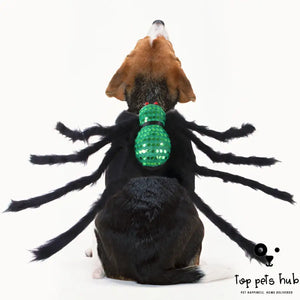 Sequined Spider Pet Costume