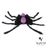 Sequined Spider Pet Costume