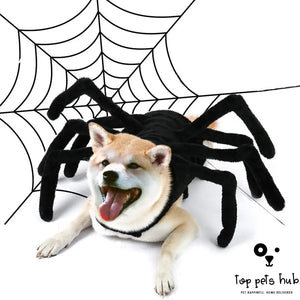 Funny Halloween Pet Spider Costume
