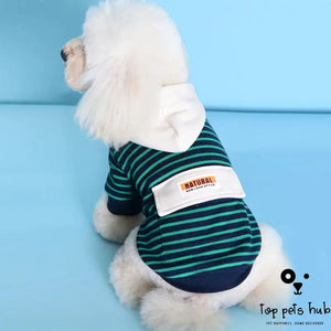 Striped Hooded Pet Sweater