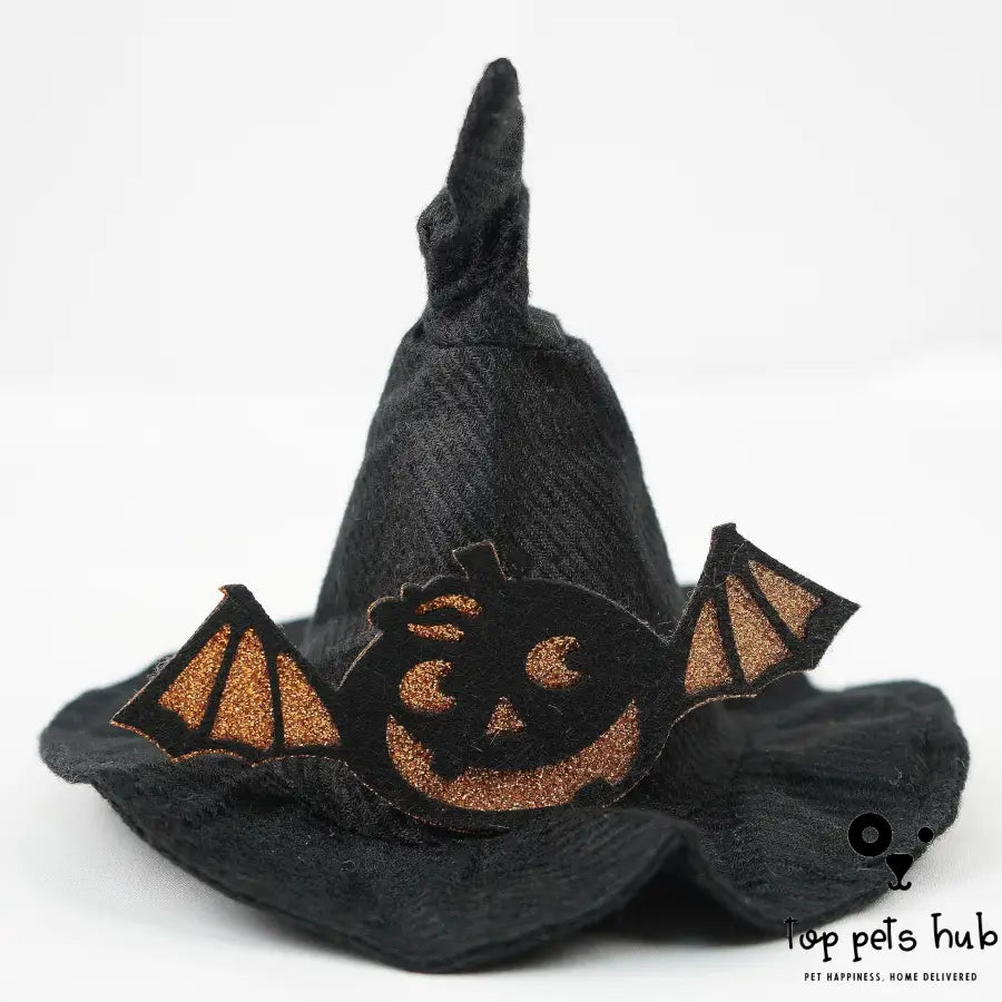 Magic Halloween Pet Hat