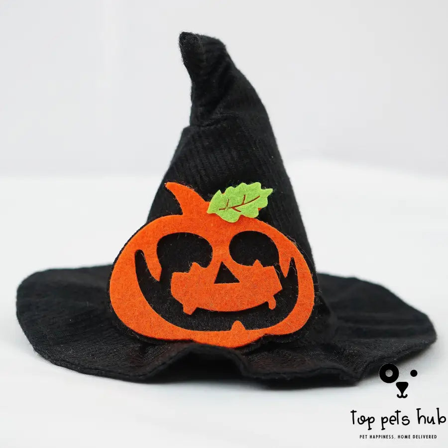 Magic Halloween Pet Hat