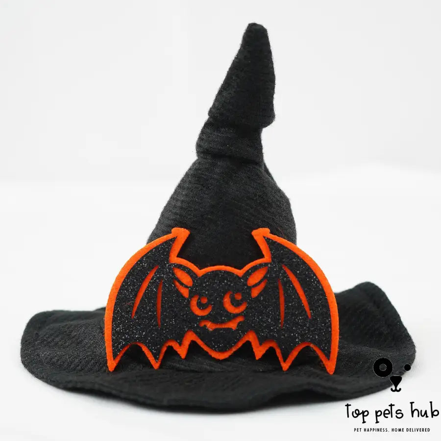 Magic Halloween Pet Hat