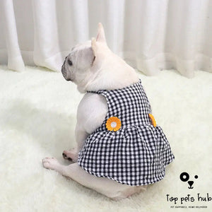 Elegance in Pet Skirts