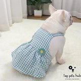 Elegance in Pet Skirts