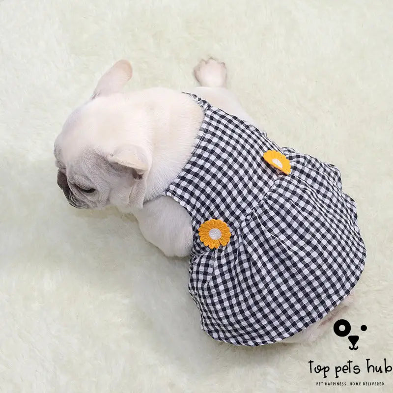 Elegance in Pet Skirts