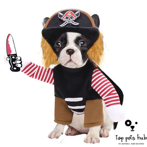 Pirate Pet Halloween Costumes