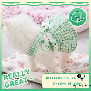 Cute Summer Pet Dress with Harness and Leash