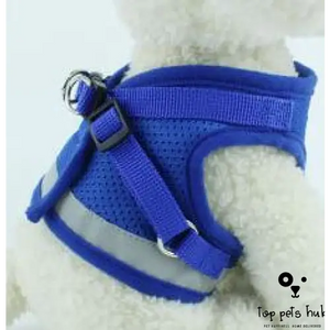 Dog Harness and Leash Combo