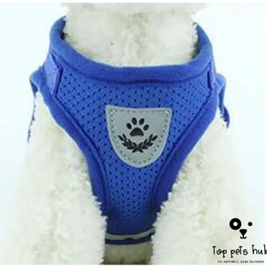 Dog Harness and Leash Combo