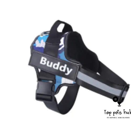 Personalized Dog Harness with Name