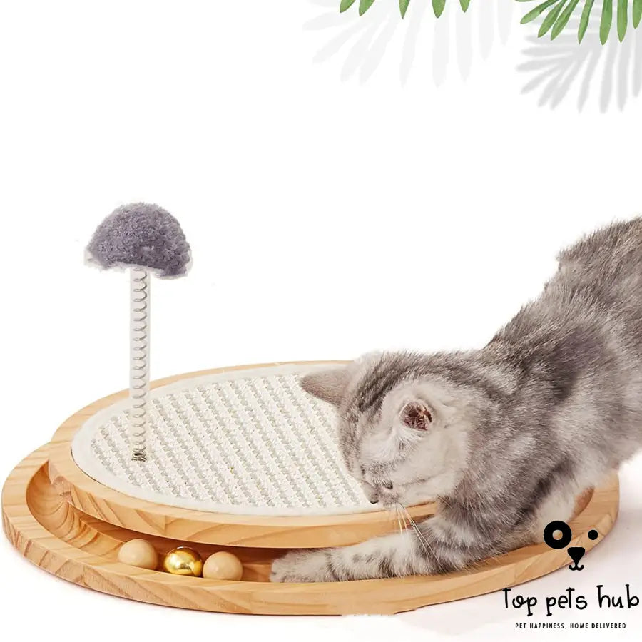 Two-in-One Intelligence Cat Scratching Toy