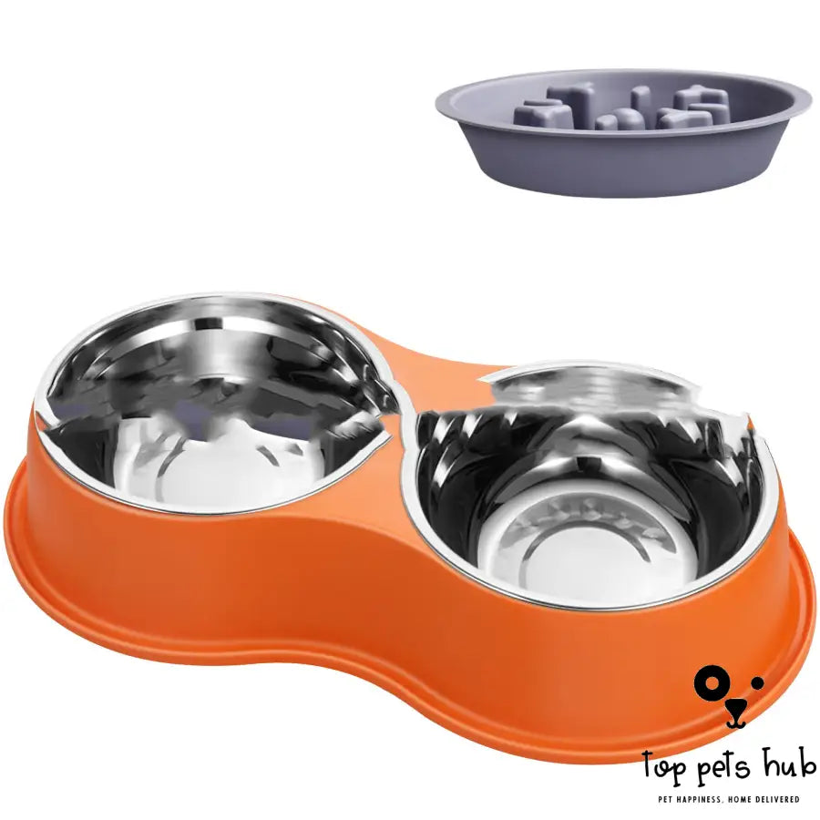 Removable Slow Feeding Pet Bowl