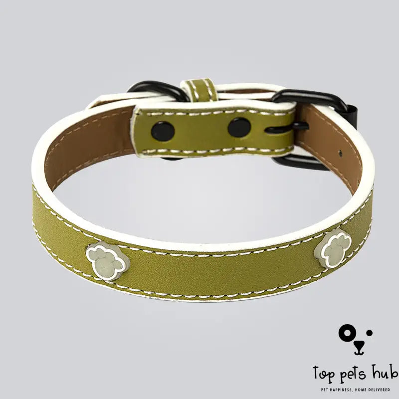 Adjustable Luminous Pet Collar