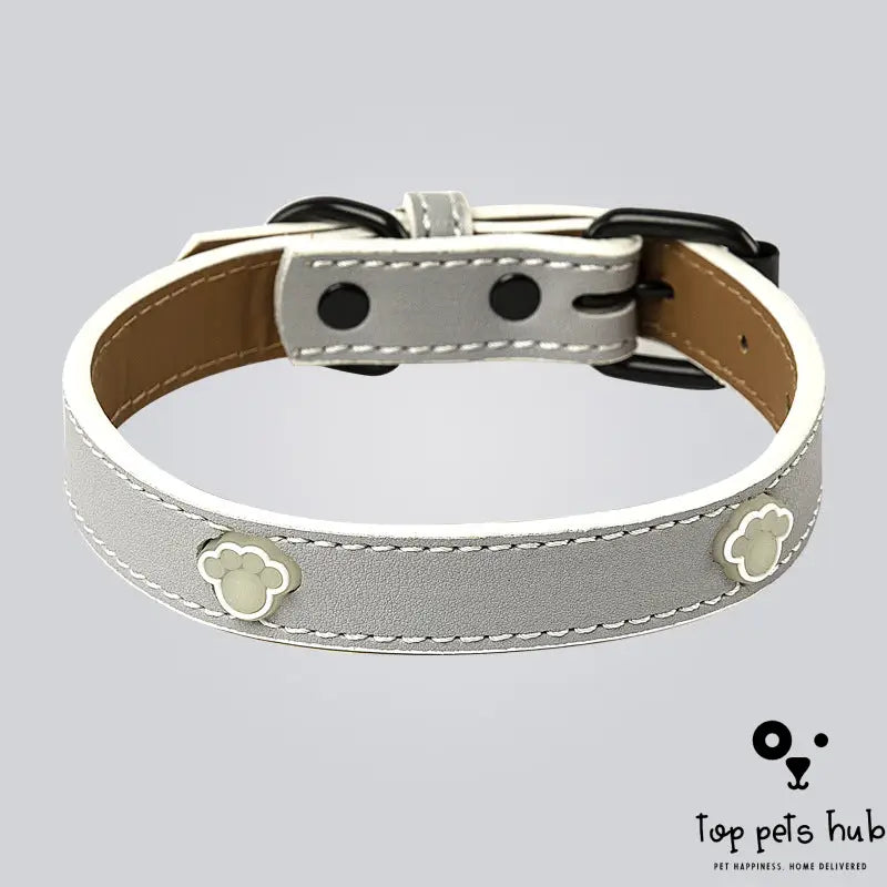 Adjustable Luminous Pet Collar