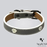 Adjustable Luminous Pet Collar