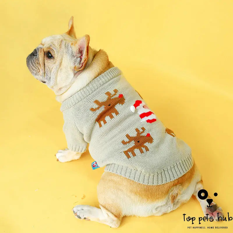 Festive Pet Christmas Sweater