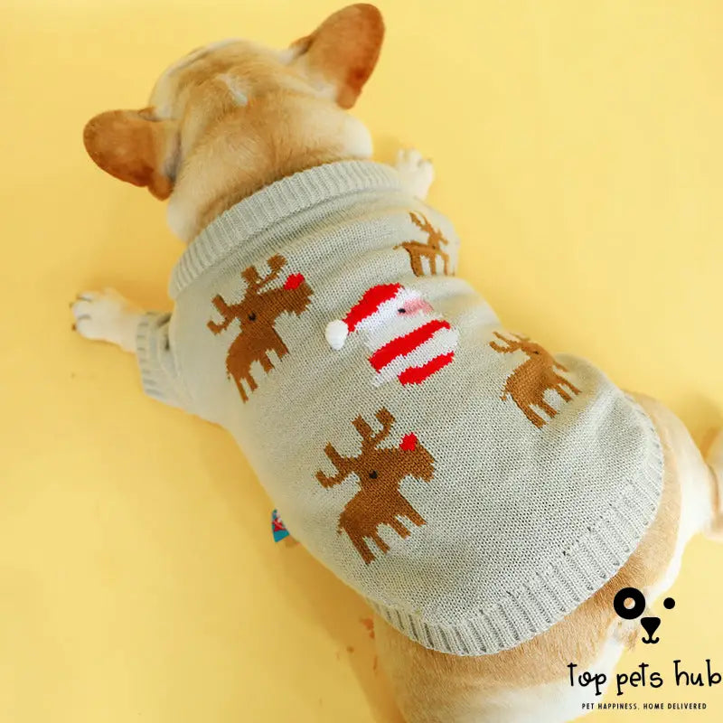 Festive Pet Christmas Sweater