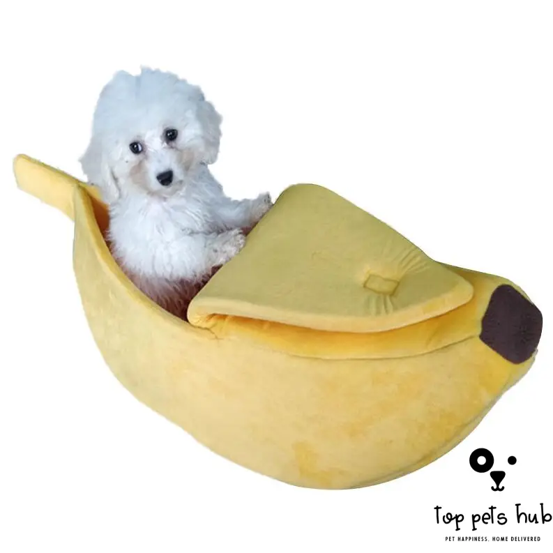 Banana-Shaped Dog House