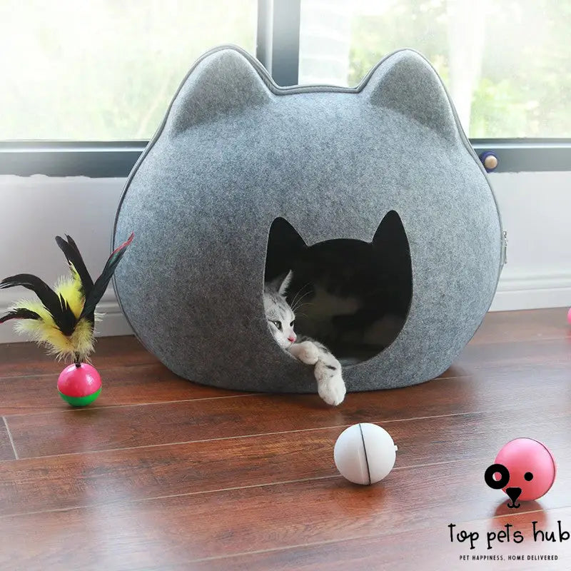 Enclosed Cat House